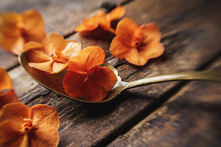 Rustic Floral photo