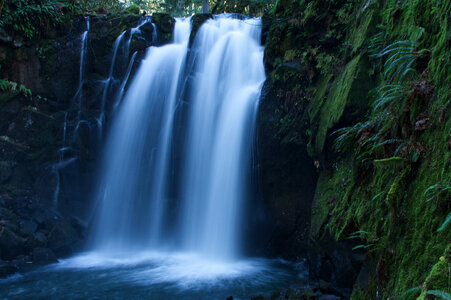Waterfall Forest photo