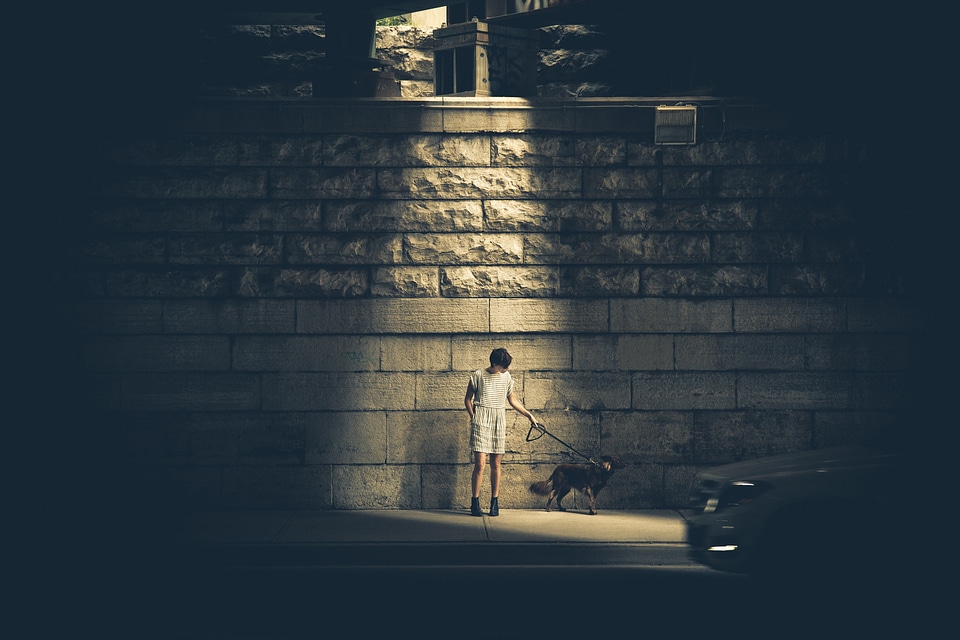 Lamp post child pet