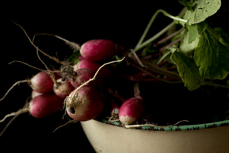 Garden Vegetables