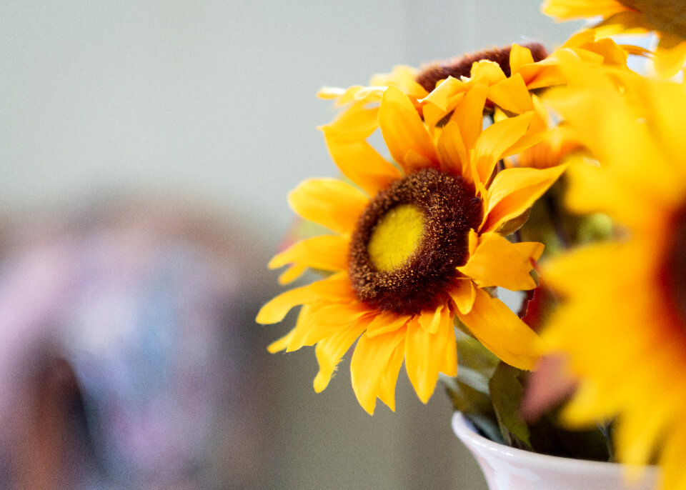 Flower Vase photo