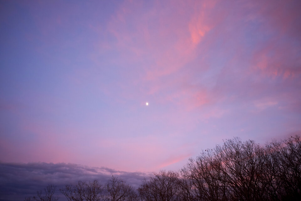 Sunset Pink photo