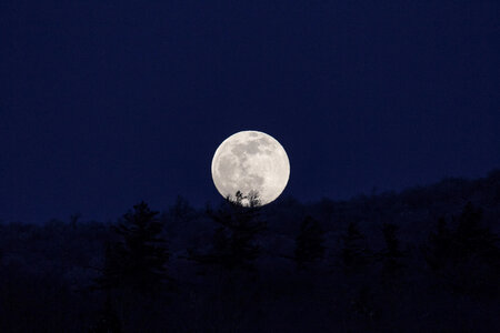 Moon Night photo