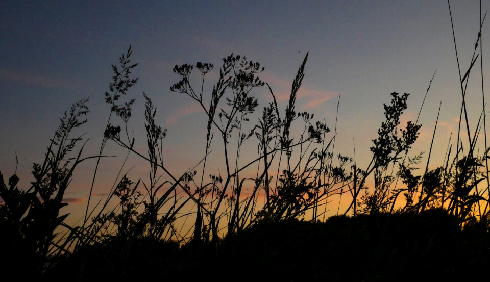 Evening Sky photo