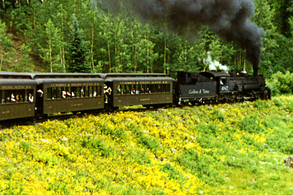 train