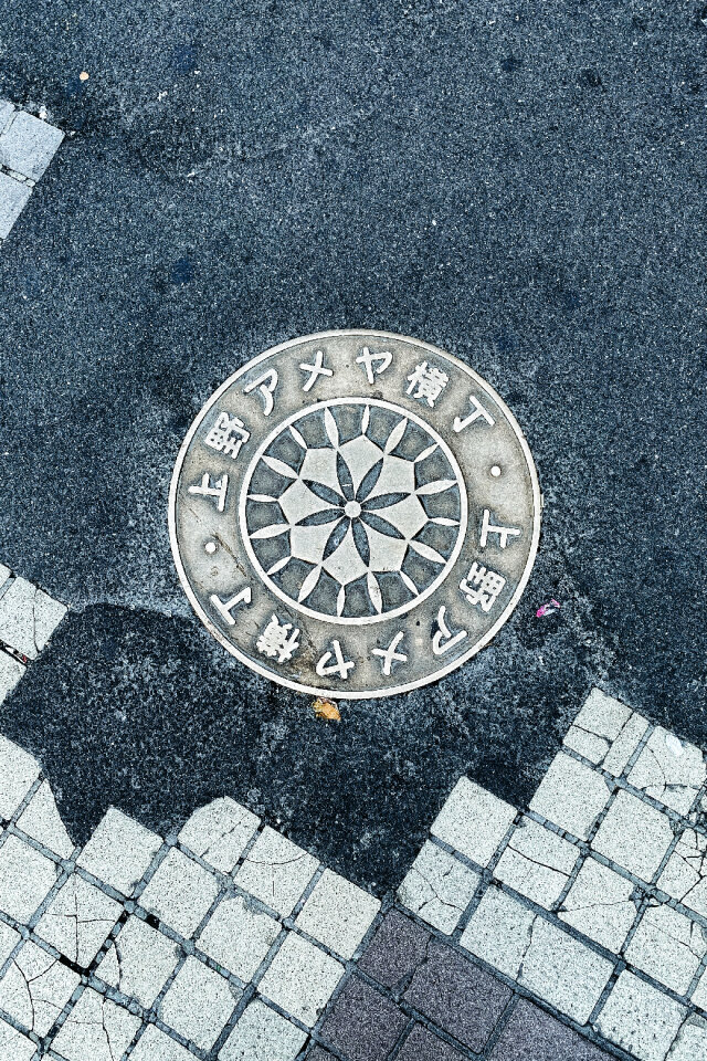 Maintenance Hole Cover, Tokyo, Japan