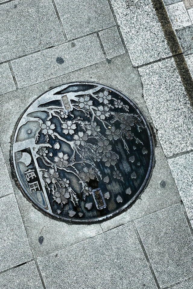 Electricity Maintenance Hole Cover, Tokyo, Japan