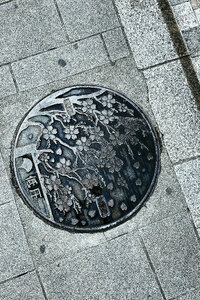 Electricity Maintenance Hole Cover, Tokyo, Japan