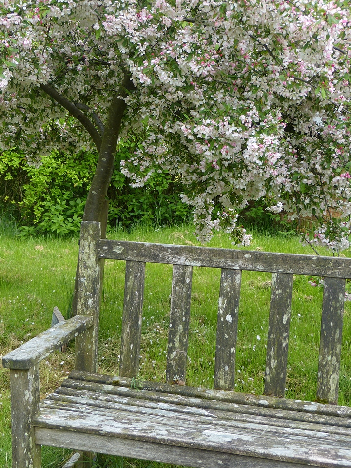 Tree bloom seat
