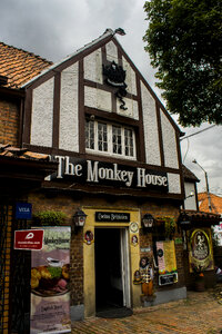 The Monkey House photo