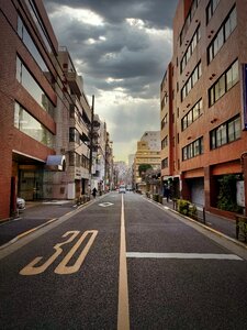 Office Building-Lined Street, Bunkyo, Tokyo, Japan photo