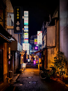 Bars Lining a Dark Back-Alley, Taito, Tokyo, Japan photo