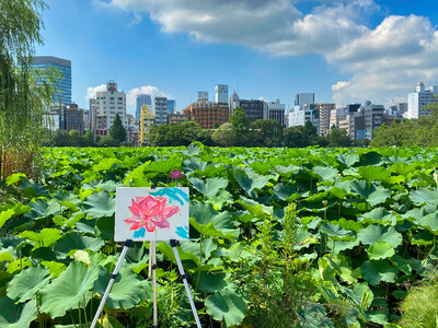 Lotus Flower Painting, Shinobazu Pond, Tokyo, Japan