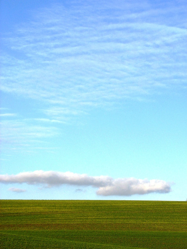 Landscape sky grass