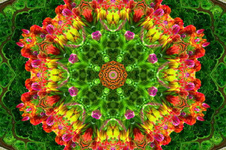 kaleidoscope design with flowers photo