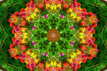 kaleidoscope design with flowers