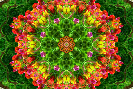 kaleidoscope design with flowers