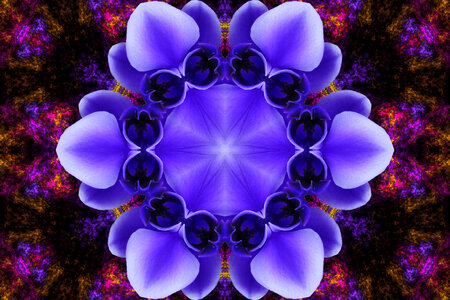 purple kaleidoscope design