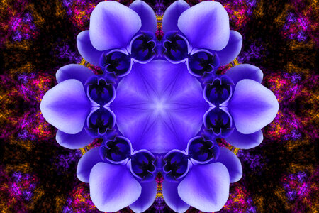 purple kaleidoscope design photo