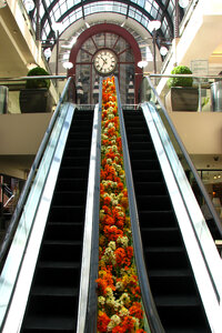 flower escalator photo