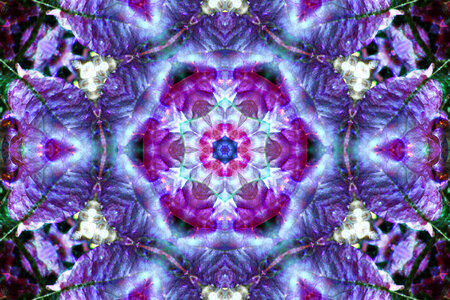purple kaleidoscope design photo