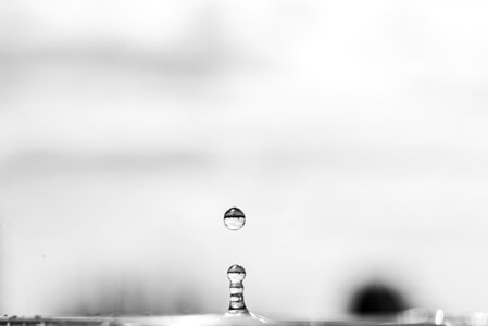 Drop in black and white photo