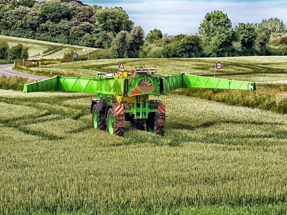 Fields crop grain