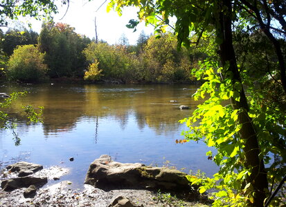 Calm Water photo