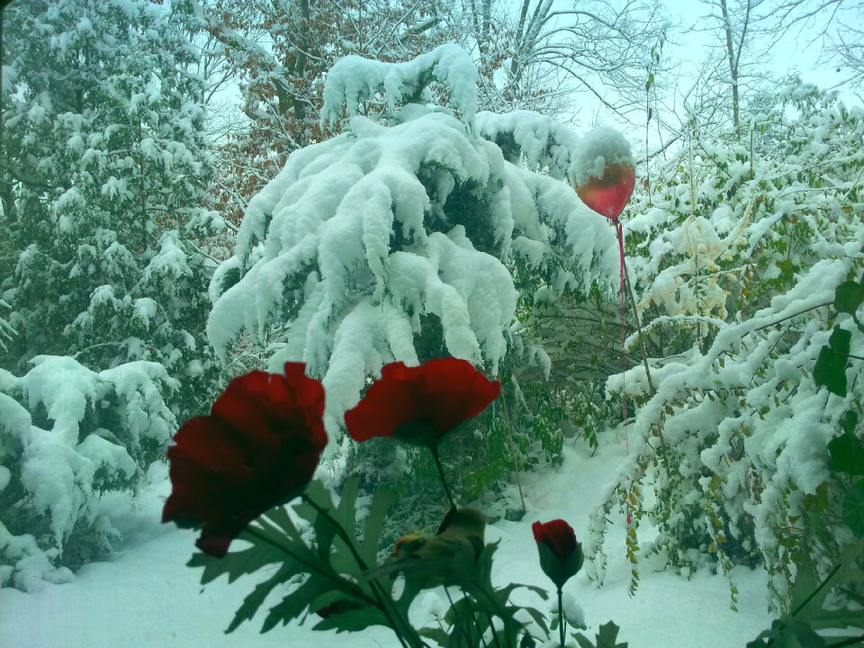 Winter from inside