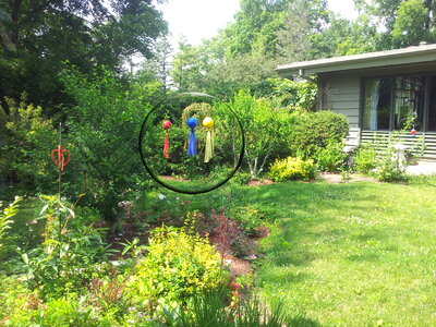 Balloon in the garden