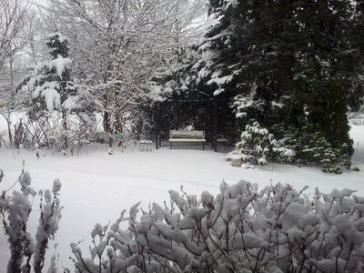 Winter Stiklness