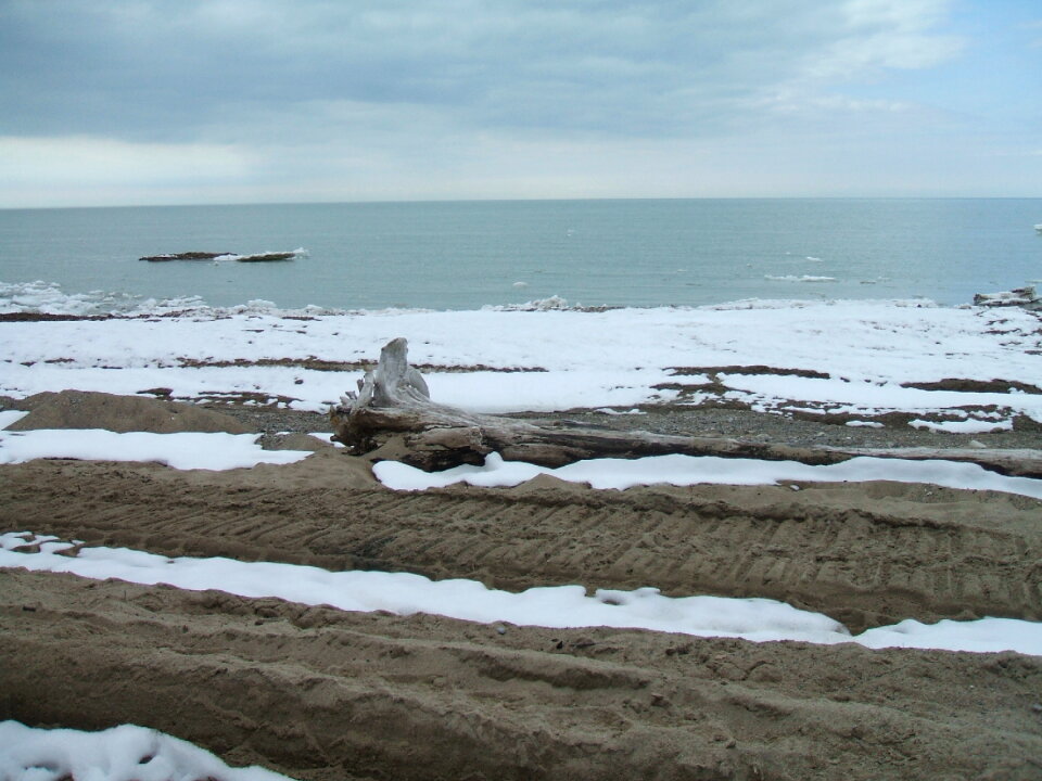 Winter at the waterfront