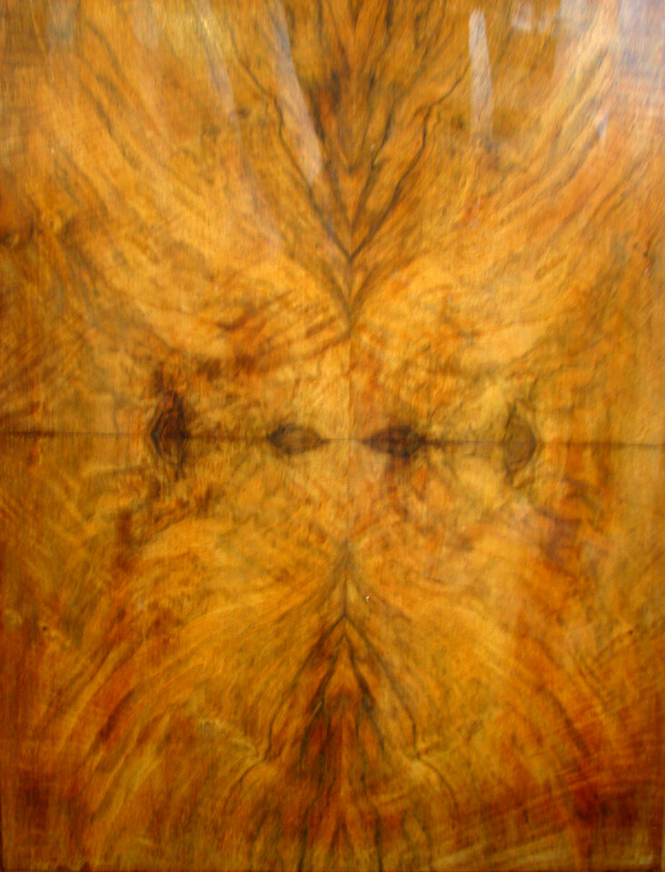 wood panel with eyes