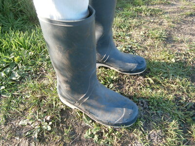 Rubber boots photo