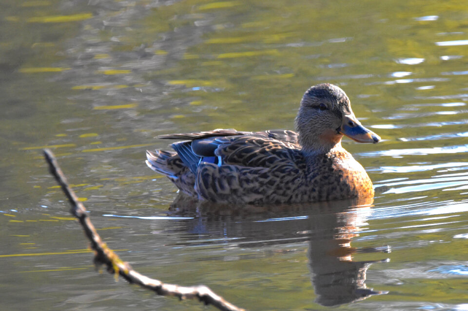Basking in the sunshine