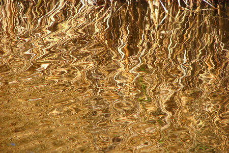 water with brown wavy reflections photo