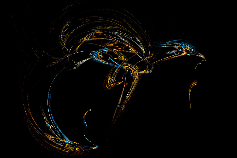 Apophysis fractal 74 (bird with worm)