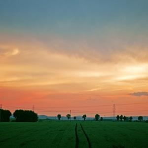 Field green meadow photo