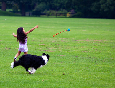 Girl throws ball for black and white dog photo