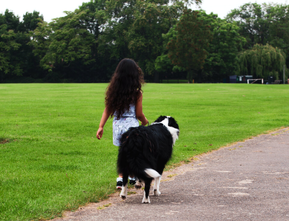 Small girl walks dog