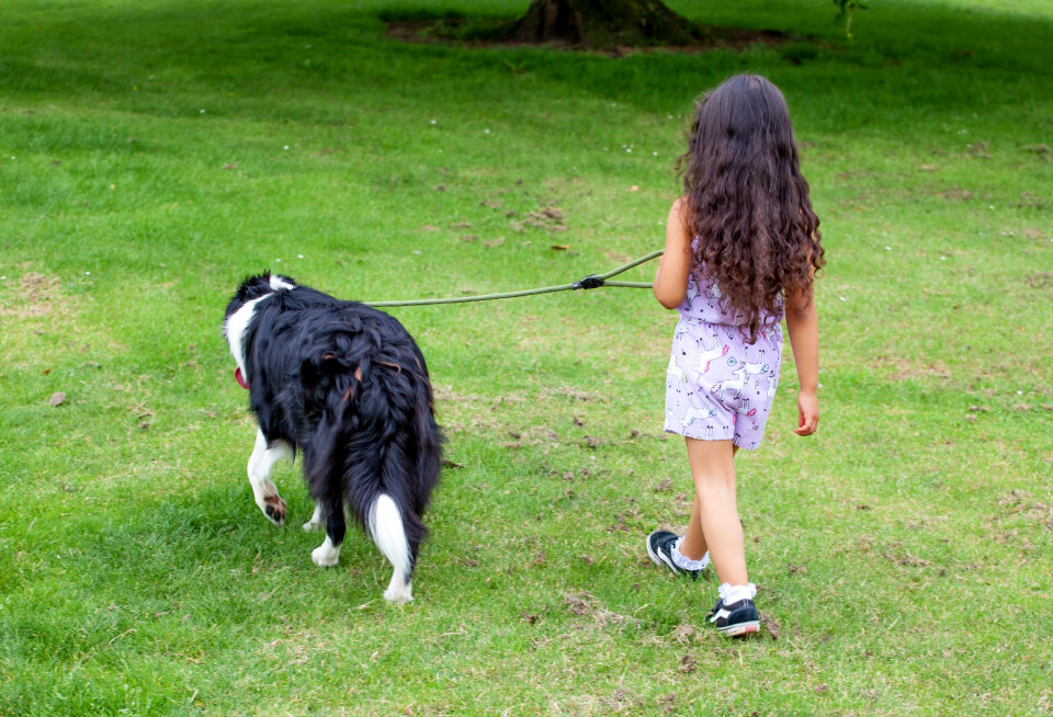 Girl waking her dog photo