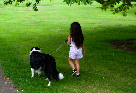 long haired child walking dog photo