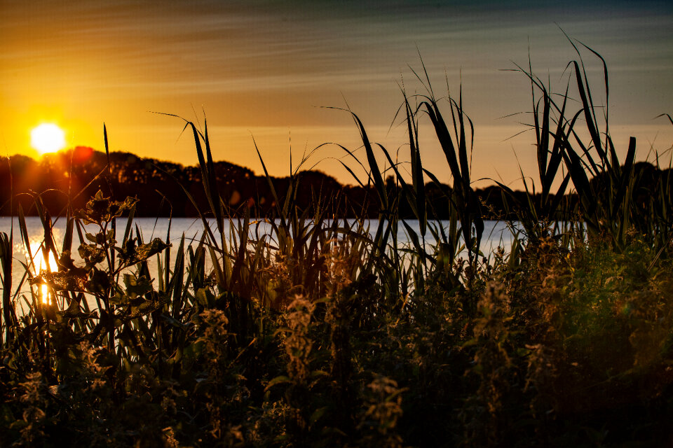 early morning riverbank