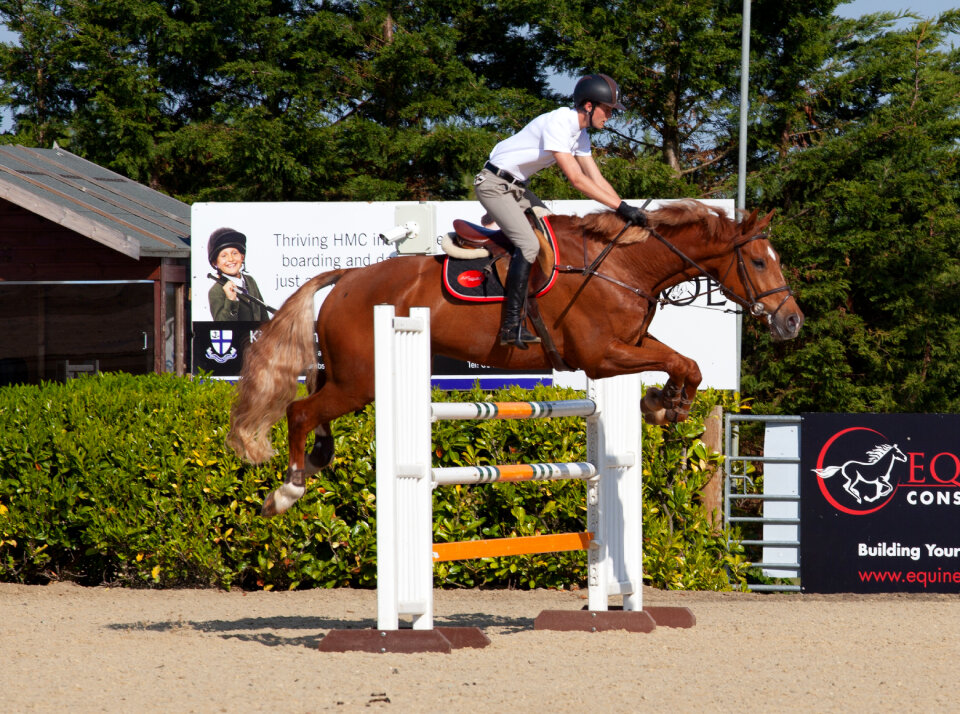 Man on horse jumping over horse jump