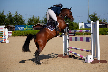 Girl on horseback jumping in show photo