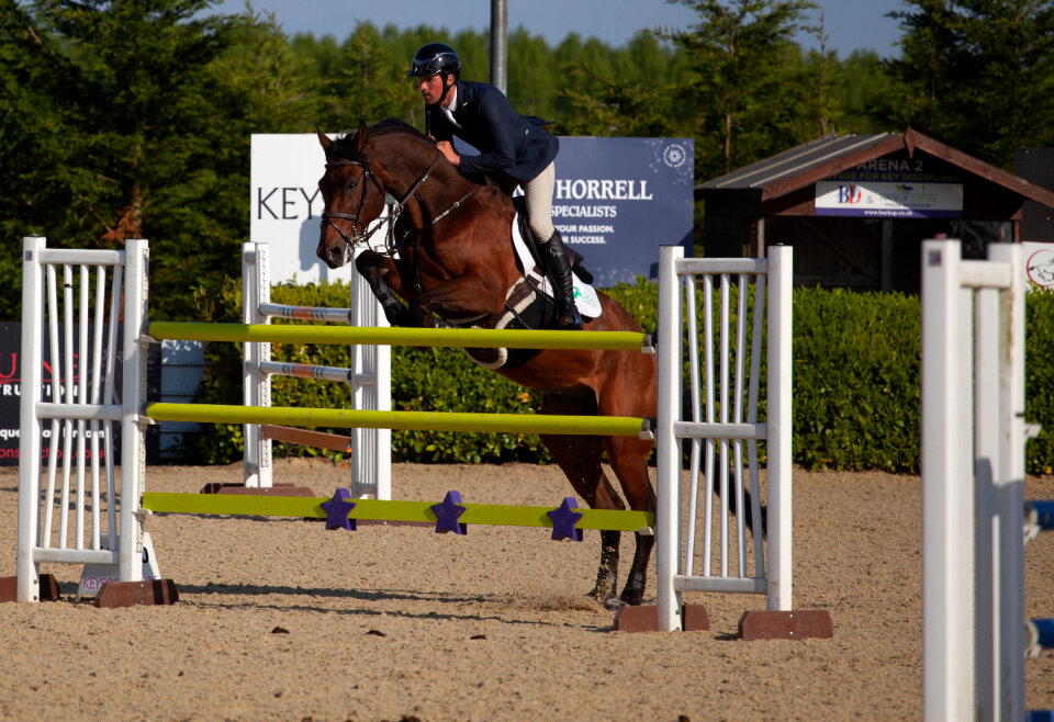 Horse jumping over green bars