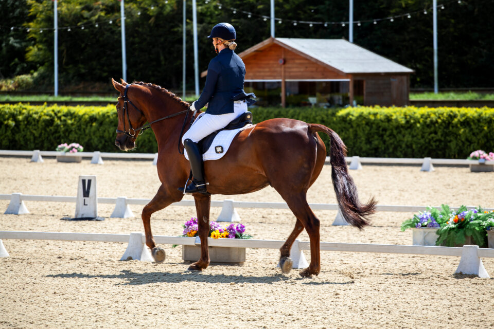 Dressage rider in ring photo