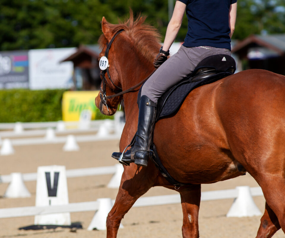 Rider on chestnut horse
