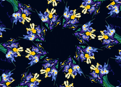 kaleidoscope design 60 (irises) photo