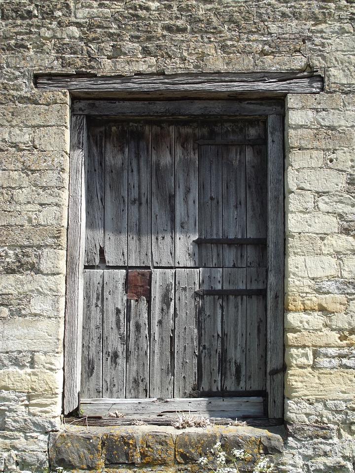 Wooden door timber door timber